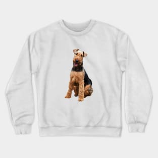 Airedale Terrier Stunning Dog Breed Crewneck Sweatshirt